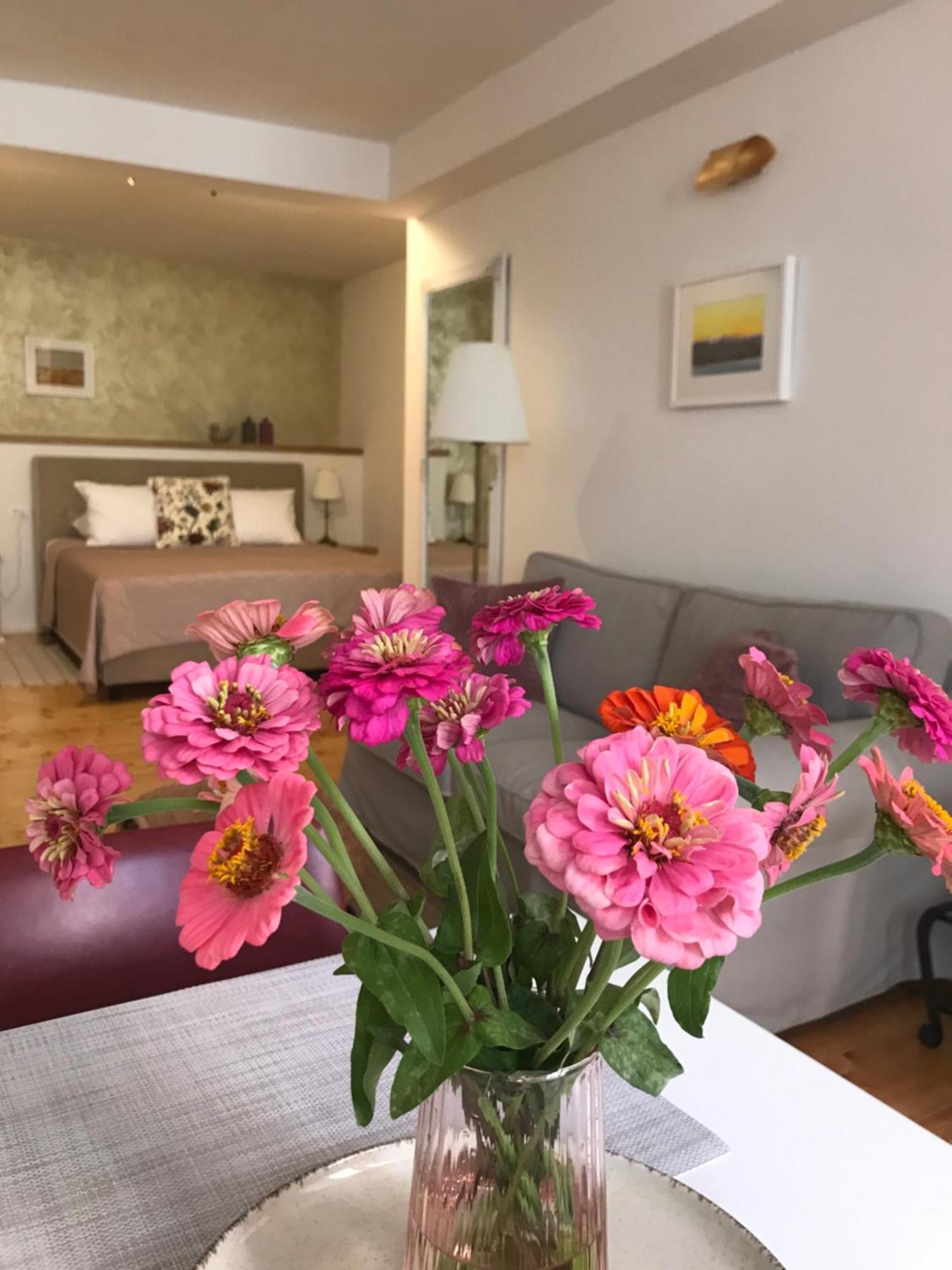 Guesthouse Casa Vittoria Rovinj Rom bilde